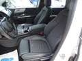 Mercedes-Benz B 250 Progressive Plugin Hybrid White - thumbnail 8