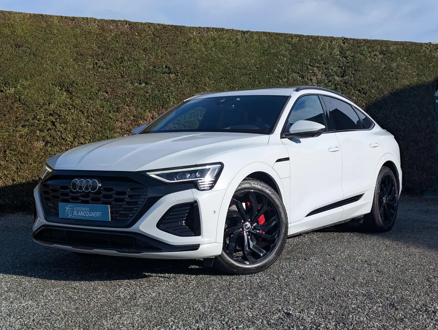 Audi Q8 e-tron Sportback -2x S-line- opendak-head up-95 kWh Blanco - 1