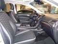 Ford Edge 2.0 EcoBlue 240 CV AWD Start&Stop aut. Vignale Bianco - thumbnail 10
