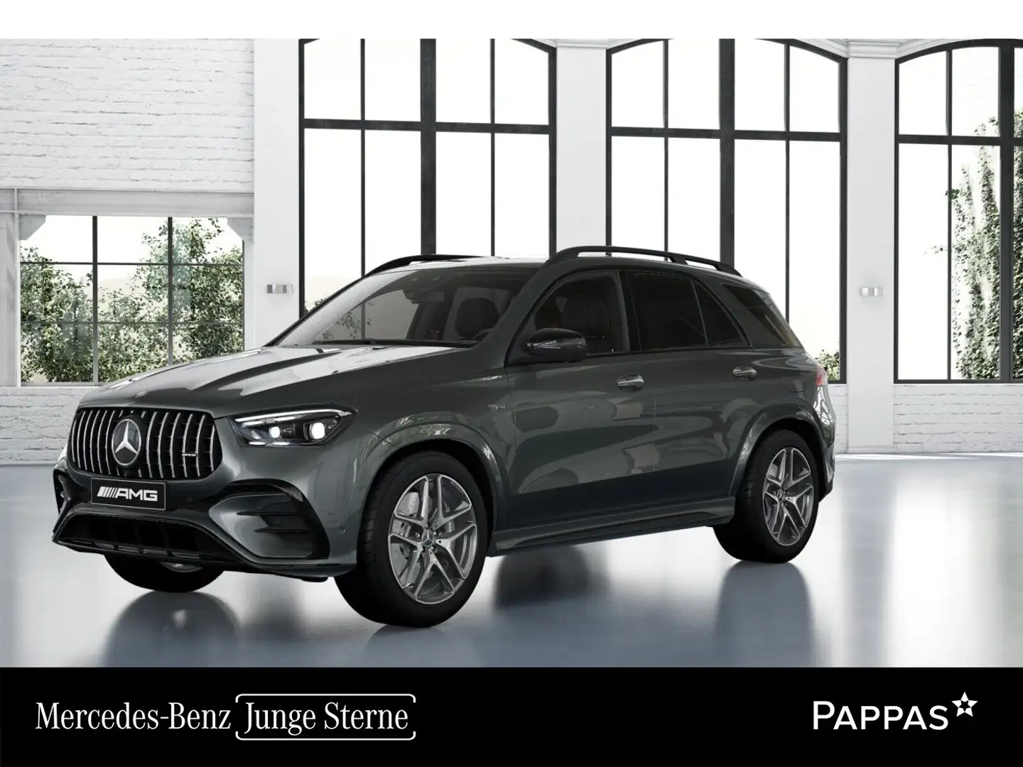 Mercedes-Benz GLE 53 AMG HYBRID 4MATIC+ Perf-AGA Navi EASY-PACK Grau - 1