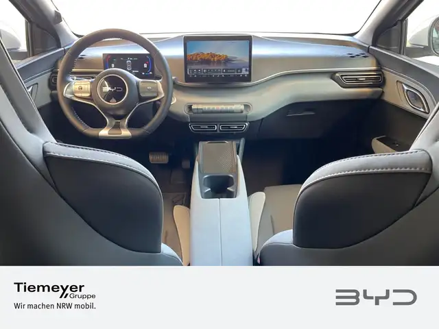 Byd Dolphin view 12