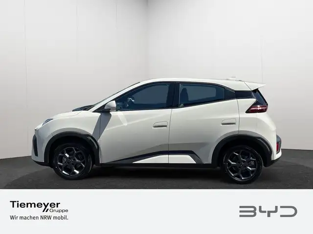 Byd Dolphin view 8