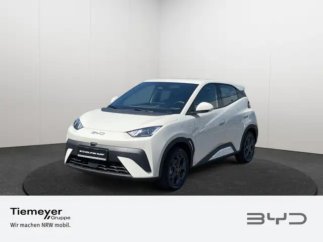 Byd Dolphin main image