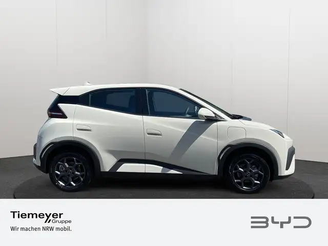 Byd Dolphin view 4