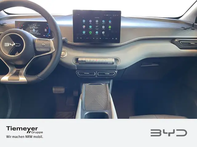 Byd Dolphin view 13