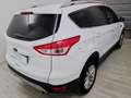 Ford Kuga 2.0 TDCI 150 CV S&S 4WD Titanium Grigio - thumbnail 5