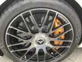 Mercedes-Benz AMG GT C "Sondermod. EDITION 50" ohne OPF Blanc - thumbnail 15