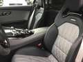 Mercedes-Benz AMG GT C "Sondermod. EDITION 50" ohne OPF Weiß - thumbnail 14