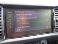 Skoda Kodiaq 2.0 TSI DSG 4x4 Soleil RFK NAVI AHK StHZ Alb - thumbnail 24