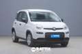 Fiat Panda 1.0 Firefly Hybrid 70CV Blanc - thumbnail 1