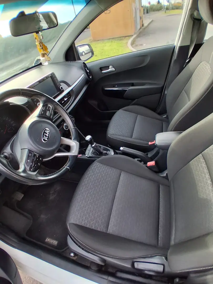 Kia Picanto Picanto 1.0 COOL 5P TT MR Bianco - 2