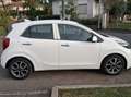 Kia Picanto Picanto 1.0 COOL 5P TT MR Bianco - thumbnail 3