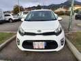Kia Picanto Picanto 1.0 COOL 5P TT MR Bianco - thumbnail 1