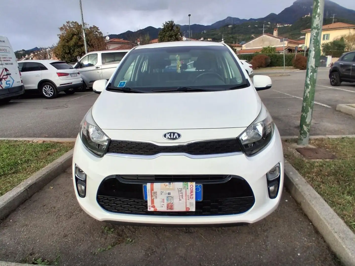 Kia Picanto Picanto 1.0 COOL 5P TT MR Bianco - 1