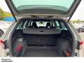 Skoda Kodiaq 2.0 TDI Sportline 4M DSG STHZ DCC NAVI ACC KAM LED Grau - thumbnail 8