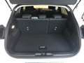 Ford Puma 1.0 EcoBOOST Mild Hybrid TITANIUM DESIGN Allwetter Wit - thumbnail 7
