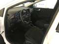 Ford Puma 1.0 EcoBOOST Mild Hybrid TITANIUM DESIGN Allwetter Wit - thumbnail 13