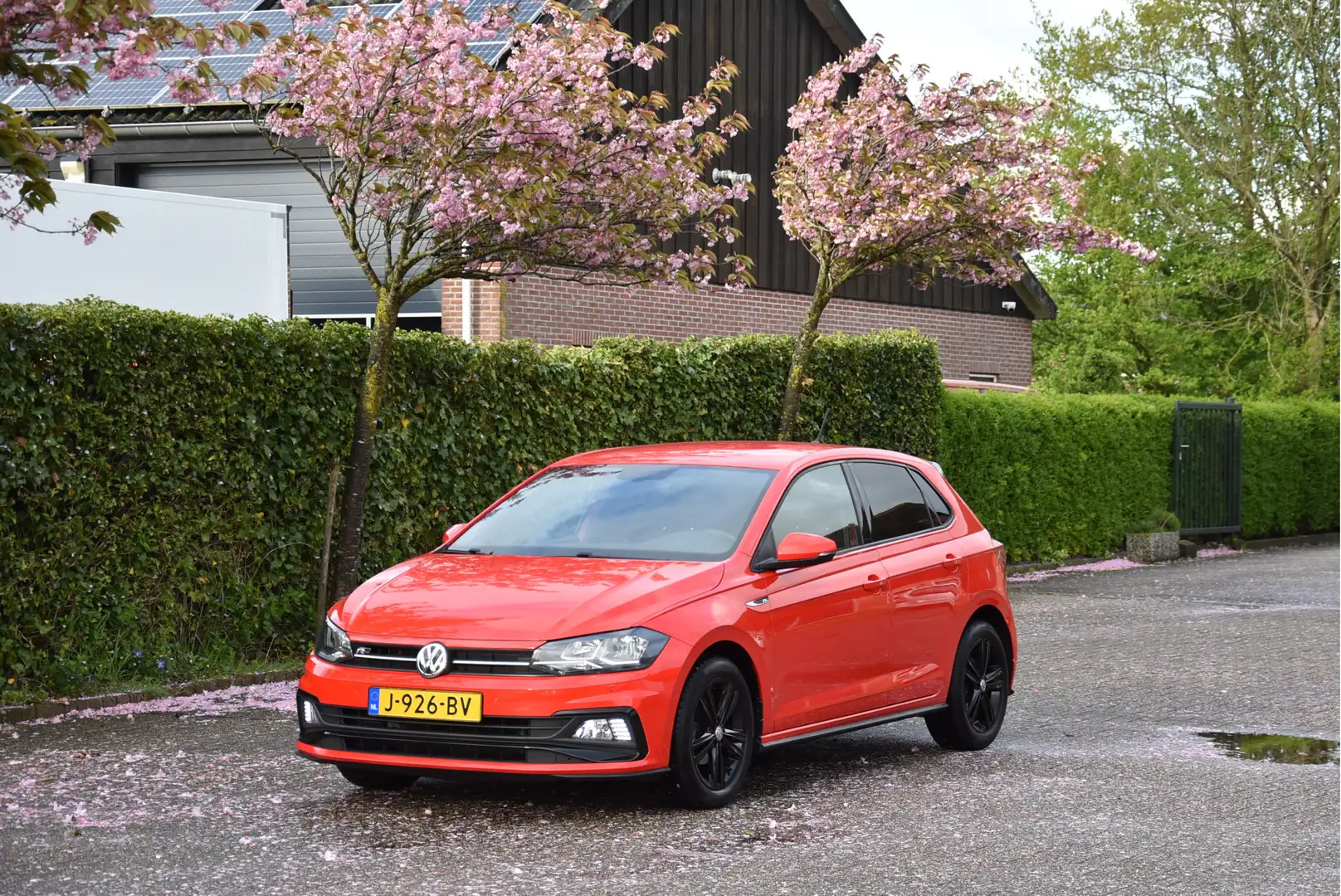 Volkswagen Polo 1.0 TSI Highline 2 X R-Line! NAP 1e eigenaar Rouge - 1