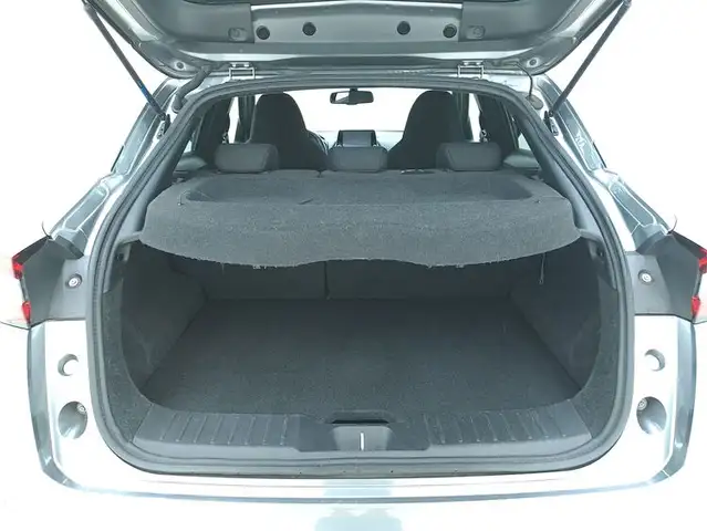 Nissan Juke view 14