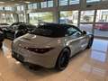 Mercedes-Benz SL 43 AMG AMG SL 43 Premium Plus 381cv auto - IVA TOT Grijs - thumbnail 11