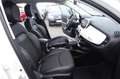 Fiat 500X Cross 1.0T 120PS KLIMAAUT KAM LED APP DAB Weiß - thumbnail 12
