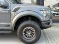 Ford F 150 Raptor 3.5 V6 SuperCrew 450PK Pano|B&O|Memory|Carp Gris - thumbnail 15