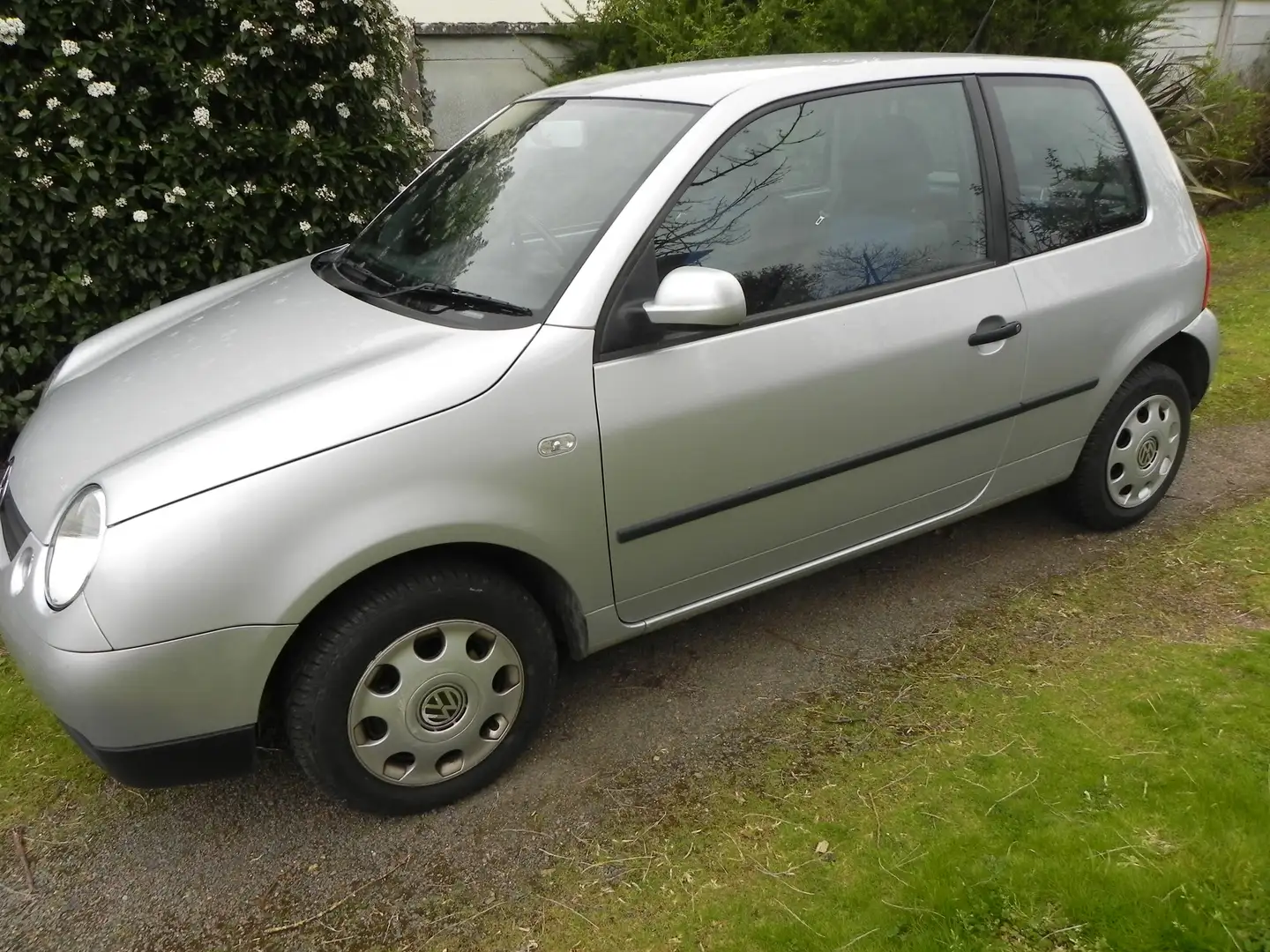 Volkswagen Lupo Lupo 1.7 SDI Gris - 1
