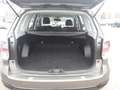 Subaru Forester Active, NAVI, RFK, Android Auto, SHZ, KLIMA, AHK Braun - thumbnail 6