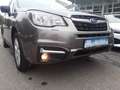 Subaru Forester Active, NAVI, RFK, Android Auto, SHZ, KLIMA, AHK Braun - thumbnail 15