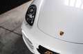 Porsche Boxster 981 / PDK / XENON+ / SPORT EXHAUST / SPORT BUTTON Білий - thumbnail 25