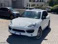 Porsche Cayenne 3.0 V6 tdi 245cv tiptronic, TETTO, CERCHI 21, FULL Bianco - thumbnail 3