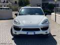 Porsche Cayenne 3.0 V6 tdi 245cv tiptronic, TETTO, CERCHI 21, FULL Bianco - thumbnail 2