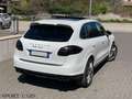 Porsche Cayenne 3.0 V6 tdi 245cv tiptronic, TETTO, CERCHI 21, FULL Bianco - thumbnail 6