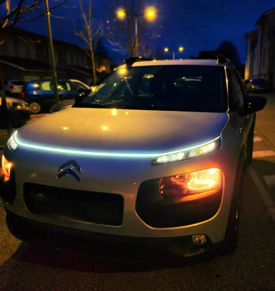 Citroen C4 Cactus BlueHDi 100 Stop\u0026Start Business Cla