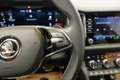 Skoda Kodiaq 2.0 TDI DSG "LED*R-KAM*ACC*CARPLAY" Grau - thumbnail 30