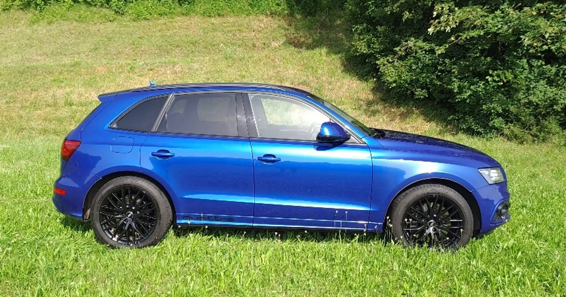 Audi SQ5 SQ5 3,0 TDI competition quattro Tiptronic Blau - 1