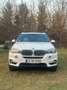 BMW X5 xDrive 40 d Blanc - thumbnail 10