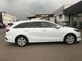 Kia Ceed SW / cee'd SW SW 1,6 CRDi SCR ISG Silber 48V DCT Weiß - thumbnail 2