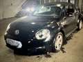 Volkswagen Beetle Beetle 1.2 TSI BlueMotion Tech Schwarz - thumbnail 9