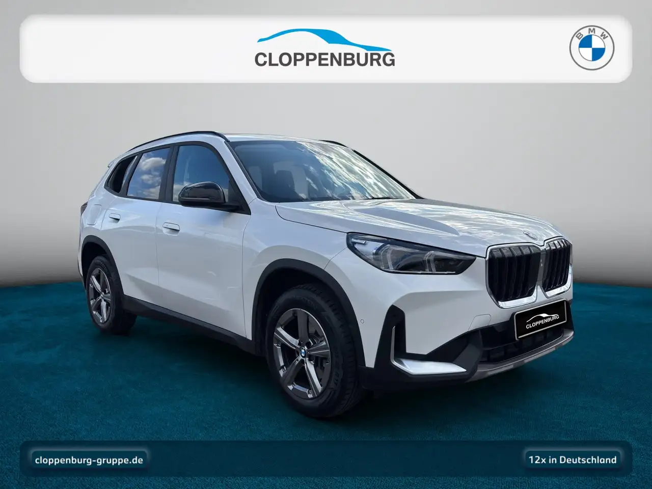 BMW X1, фото 8