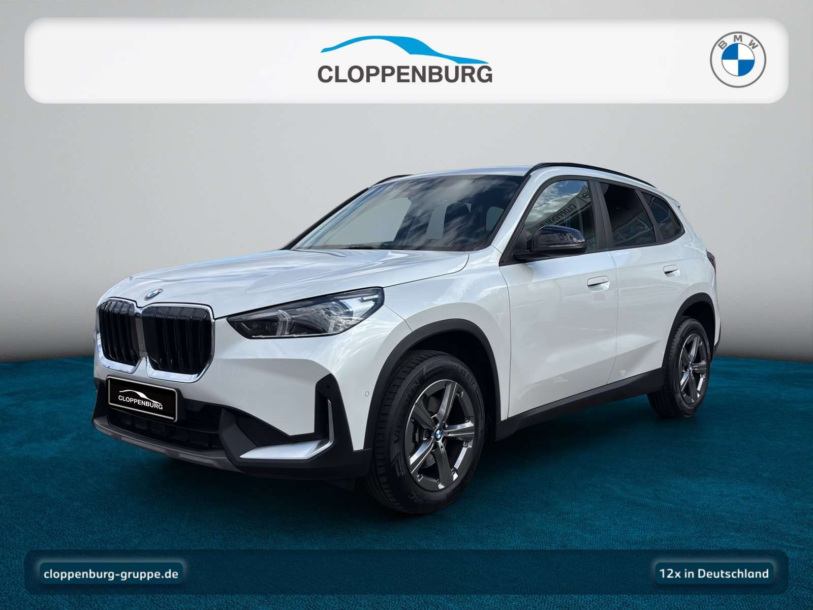 BMW X1 occasion