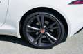 Jaguar F-Type 2.0T P300 CABRIOLET BVA8 Blanco - thumbnail 20