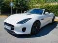 Jaguar F-Type 2.0T P300 CABRIOLET BVA8 Blanco - thumbnail 29