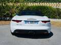 Jaguar F-Type 2.0T P300 CABRIOLET BVA8 Blanco - thumbnail 22