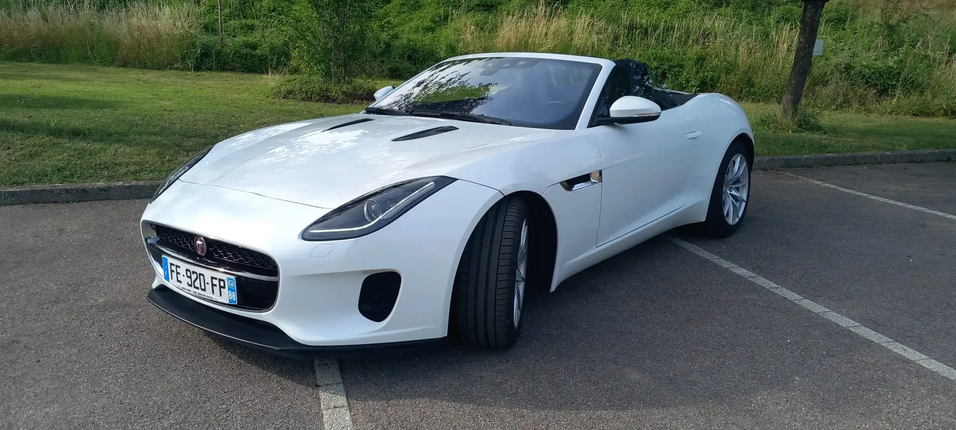 Jaguar F-Type 2.0T P300 CABRIOLET BVA8 Blanc - 1