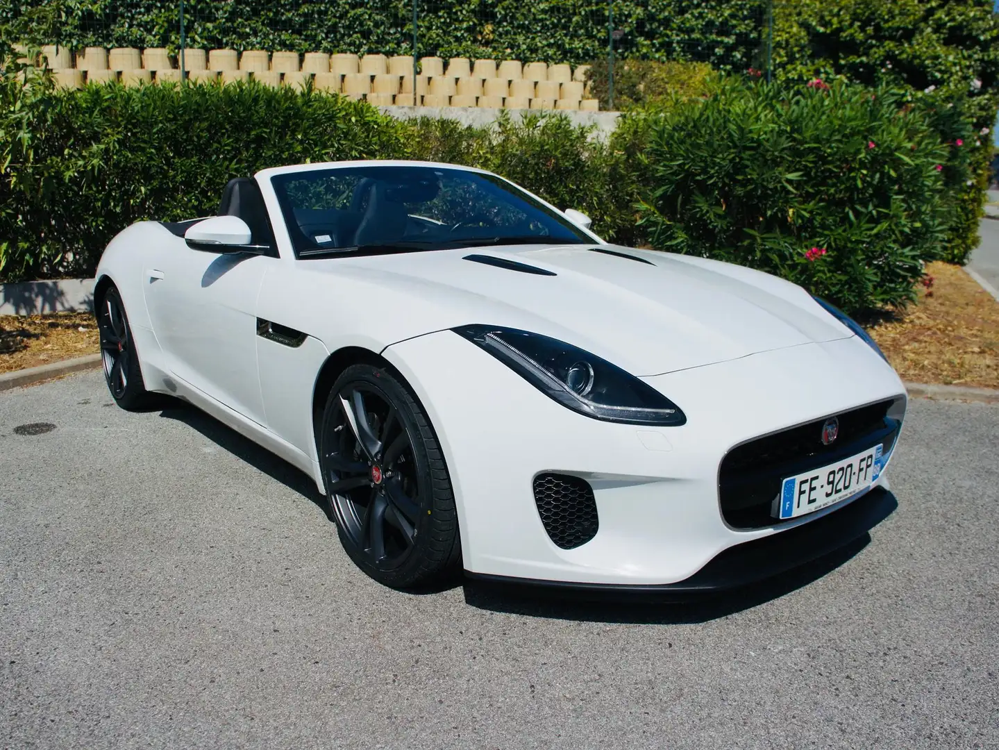 Jaguar F-Type 2.0T P300 CABRIOLET BVA8 Blanco - 1