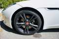 Jaguar F-Type 2.0T P300 CABRIOLET BVA8 Blanco - thumbnail 24