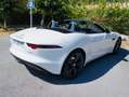 Jaguar F-Type 2.0T P300 CABRIOLET BVA8 Blanco - thumbnail 25