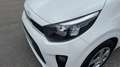 Kia Picanto 1.0 DPi Concept Blanco - thumbnail 18