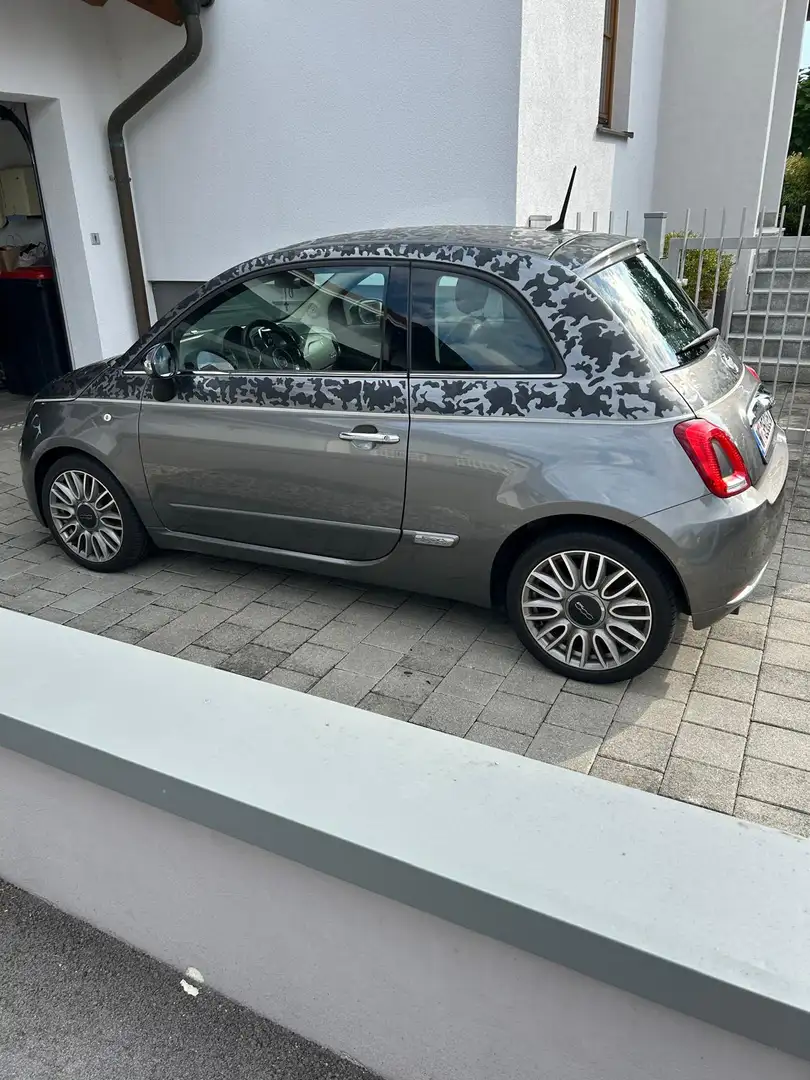 Fiat 500 500 1,2 69 Edition 99 Edition 99 Grau - 2